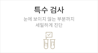 특수검사