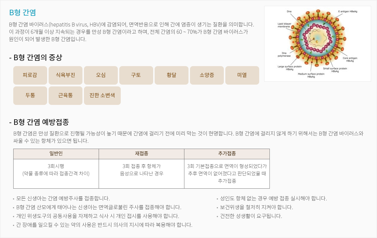 B형 간염