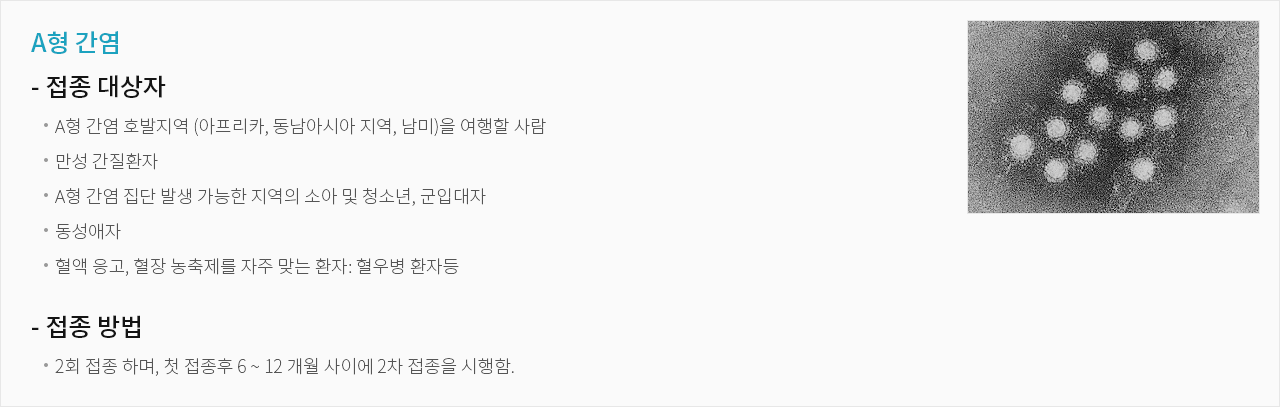 A형 간염
