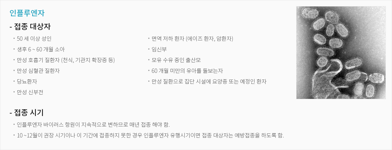 인플루엔자